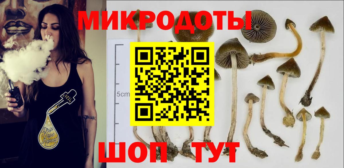 Галлюциногенные грибы мухоморы Лениногорск